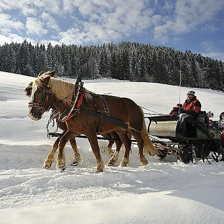 Hoamatl 4* Jochberg